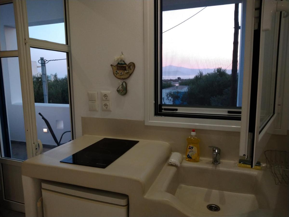 Nikoletta Studios 1 Agios Prokopios  Buitenkant foto